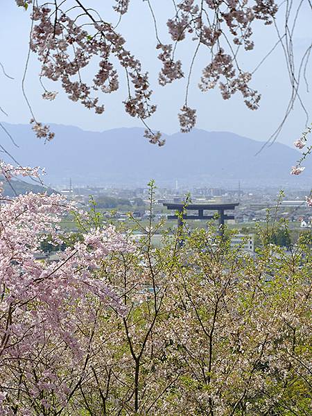 Omiwa e9.JPG Omiwa e9.JPG