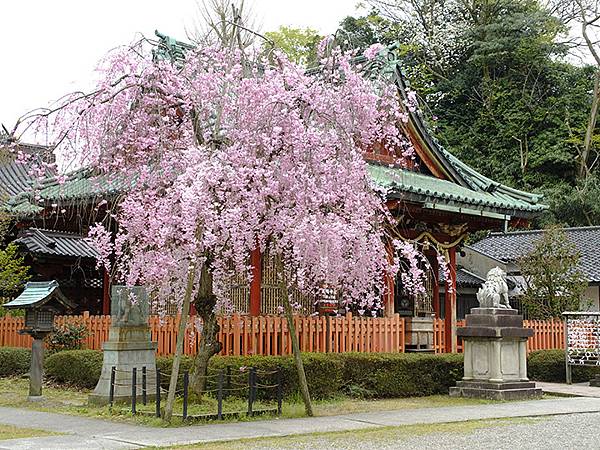 Kanazawa b2.JPG Kanazawa b2.JPG