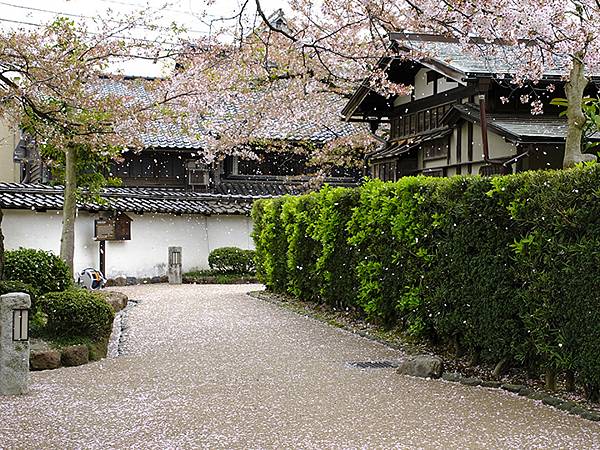 Kanazawa b5.JPG Kanazawa b5.JPG