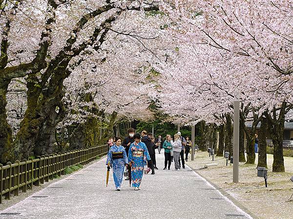 Kanazawa d3.JPG Kanazawa d3.JPG