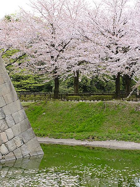 Kanazawa d9.JPG Kanazawa d9.JPG