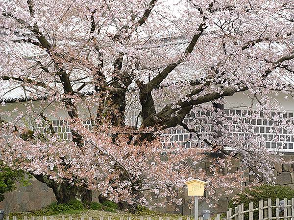 Kanazawa e2.JPG Kanazawa e2.JPG