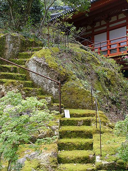 Natadera a7.JPG Natadera a7.JPG