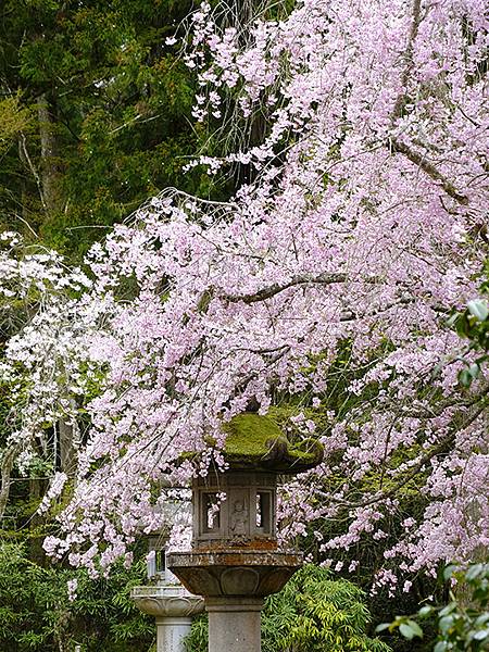 Natadera b6.JPG Natadera b6.JPG