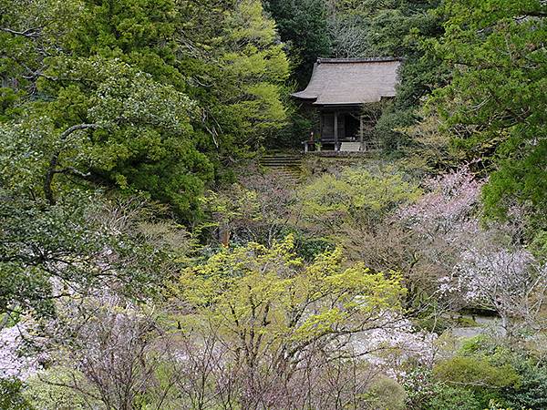 Natadera e1.JPG Natadera e1.JPG