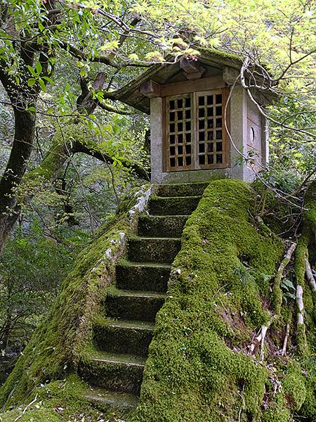 Natadera d6.JPG Natadera d6.JPG