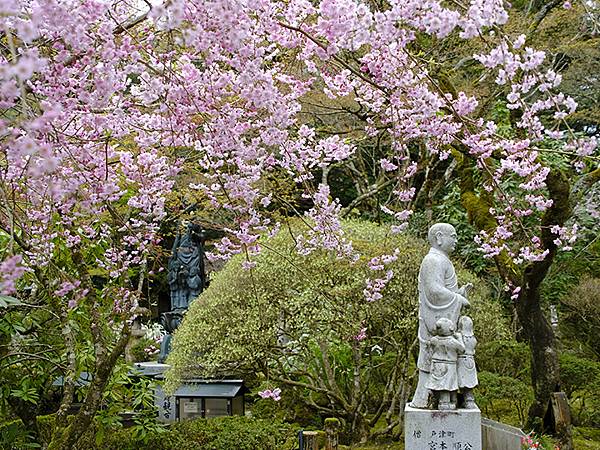 Natadera e4.JPG Natadera e4.JPG