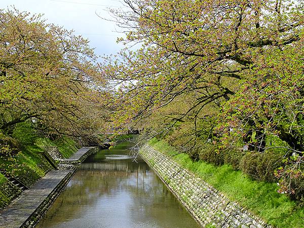 Toyama b1.JPG Toyama b1.JPG