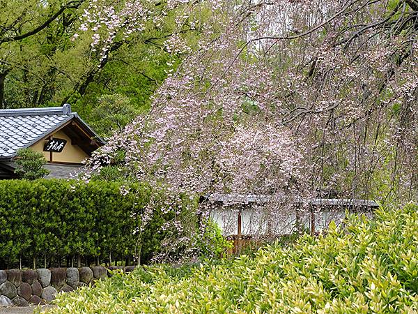 Toyama b5.JPG Toyama b5.JPG