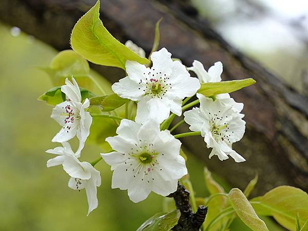 Toyama b7.JPG Toyama b7.JPG