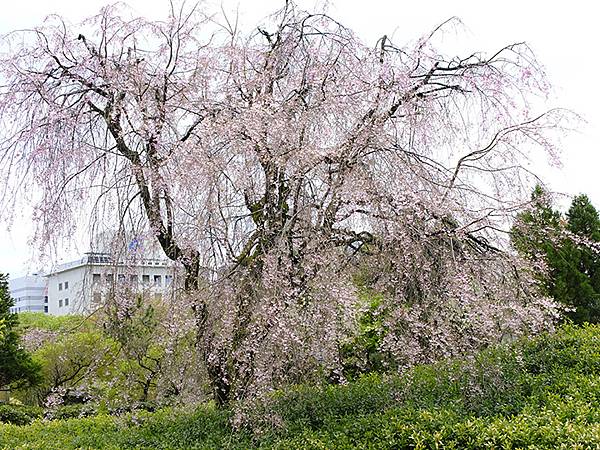 Toyama b6.JPG Toyama b6.JPG