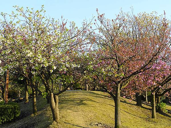 Toyama c3.JPG Toyama c3.JPG