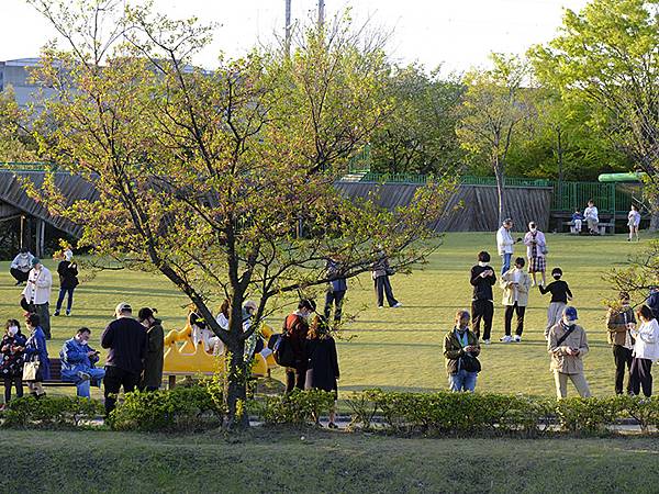 Toyama c8.JPG Toyama c8.JPG