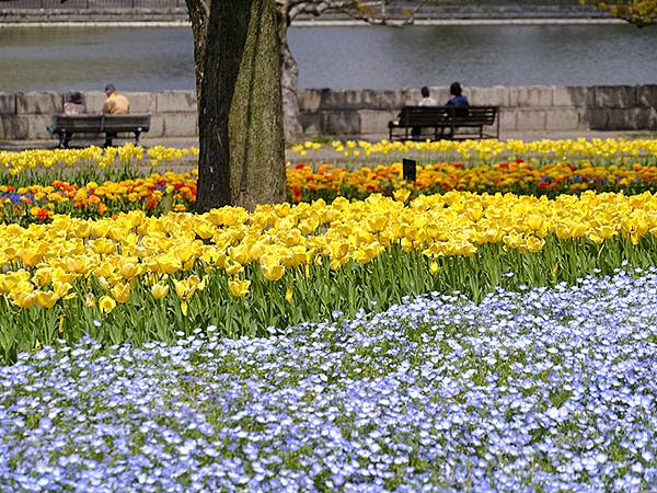 EXPO Park a1.JPG EXPO Park a1.JPG