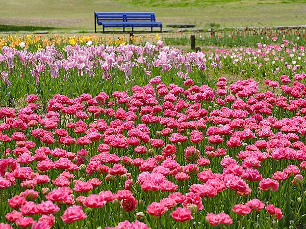 EXPO Park a2.JPG EXPO Park a2.JPG