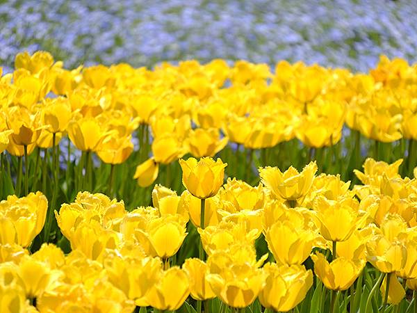 EXPO Park a6.JPG EXPO Park a6.JPG