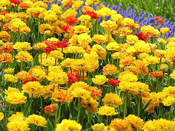 EXPO Park a11.JPG EXPO Park a11.JPG