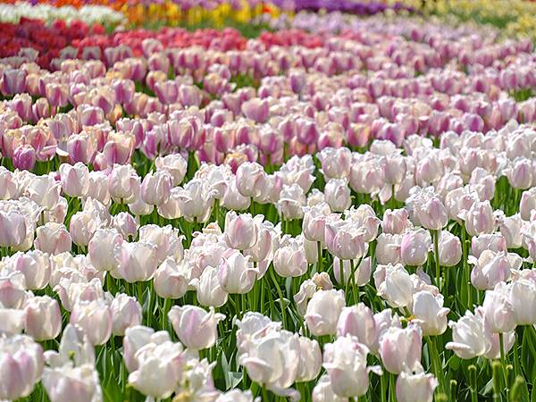 EXPO Park a10.JPG EXPO Park a10.JPG