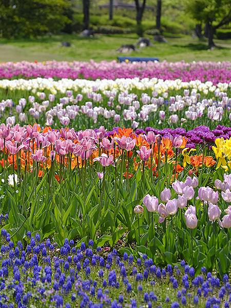 EXPO Park a13.JPG EXPO Park a13.JPG