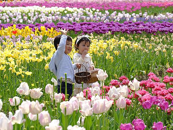 EXPO Park b1.JPG EXPO Park b1.JPG