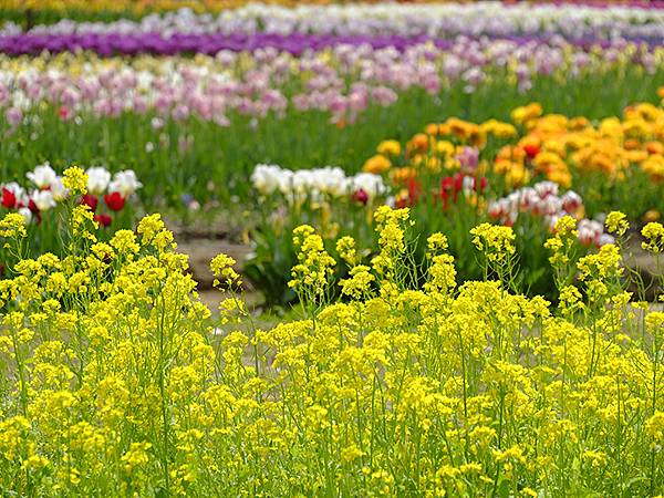 EXPO Park b2.JPG EXPO Park b2.JPG