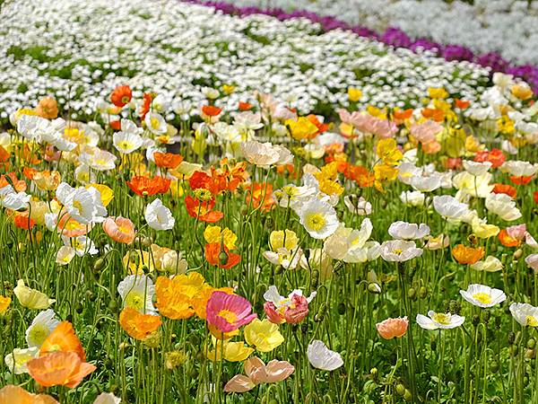 EXPO Park b3.JPG EXPO Park b3.JPG