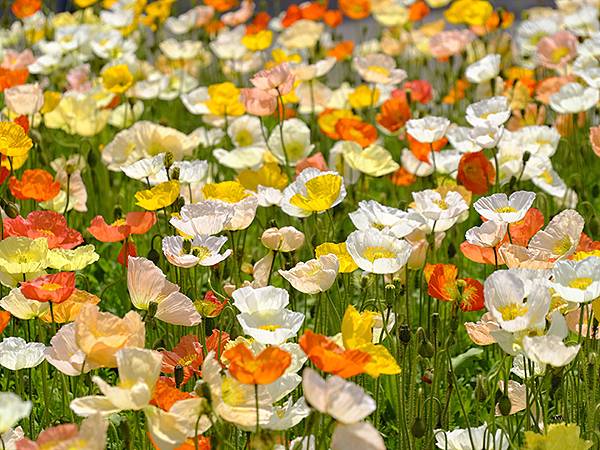 EXPO Park b4.JPG EXPO Park b4.JPG