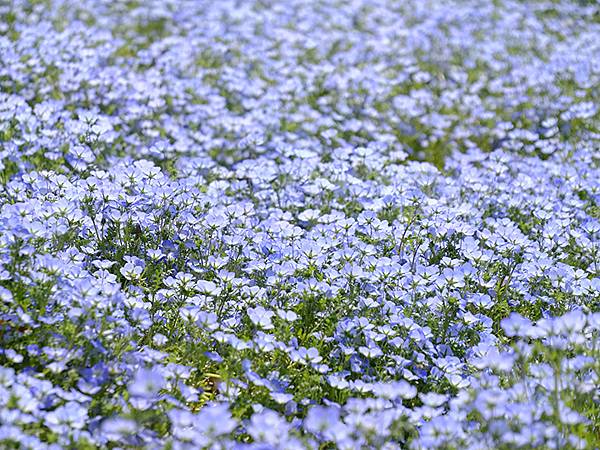 EXPO Park b6.JPG EXPO Park b6.JPG