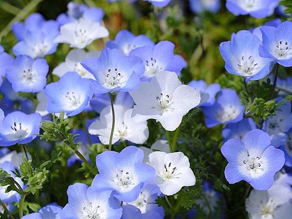 EXPO Park b7.JPG EXPO Park b7.JPG