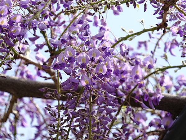 EXPO Park c1.JPG EXPO Park c1.JPG