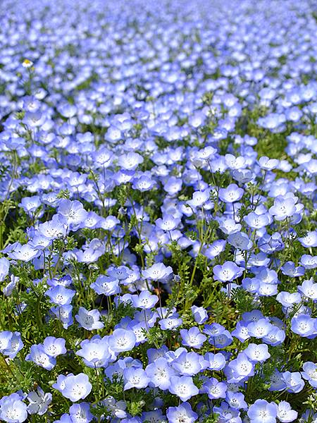 EXPO Park b8.JPG EXPO Park b8.JPG