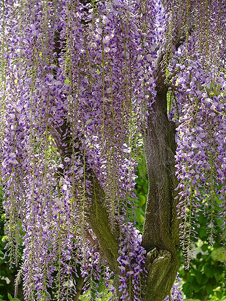 EXPO Park c2.JPG EXPO Park c2.JPG