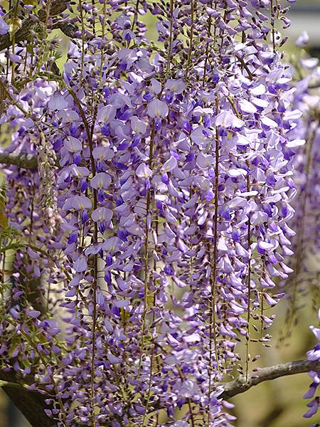 EXPO Park c4.JPG EXPO Park c4.JPG