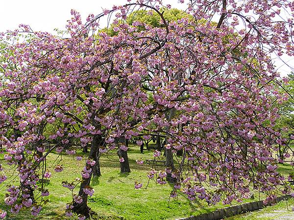 EXPO Park d1.JPG EXPO Park d1.JPG