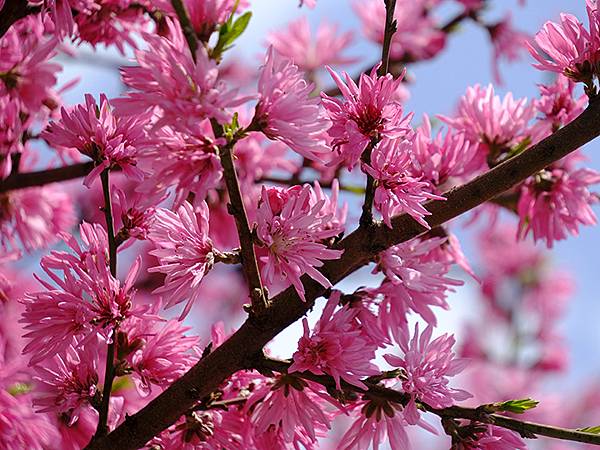 EXPO Park d3.JPG EXPO Park d3.JPG