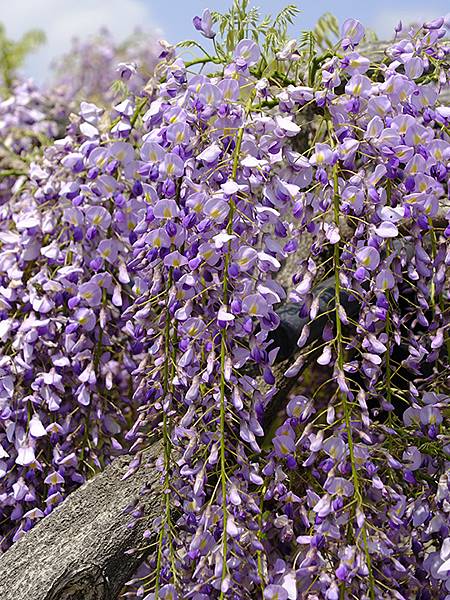 EXPO Park c3.JPG EXPO Park c3.JPG