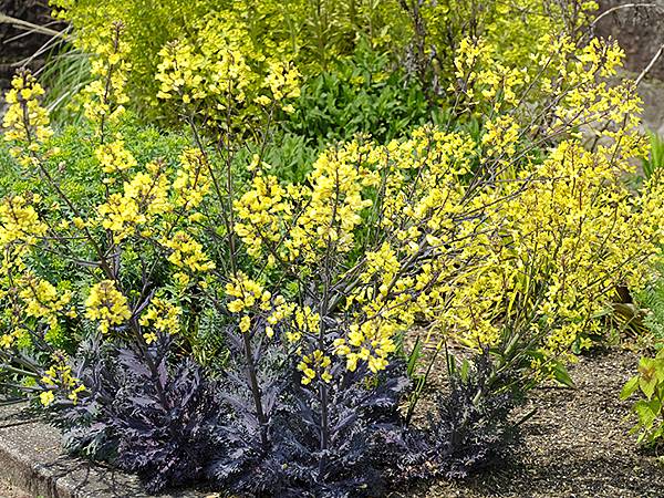 EXPO Park d5.JPG EXPO Park d5.JPG