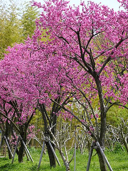 EXPO Park d4.JPG EXPO Park d4.JPG