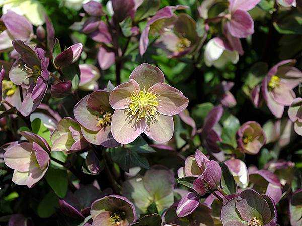 EXPO Park d7.JPG EXPO Park d7.JPG