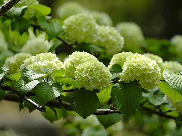 EXPO Park d6.JPG EXPO Park d6.JPG