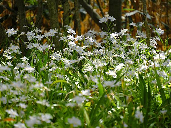 EXPO Park d8.JPG EXPO Park d8.JPG