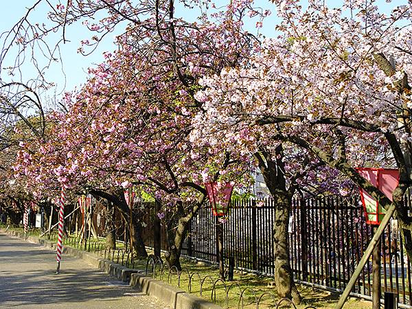 Japan cb a5.JPG Japan cb a5.JPG