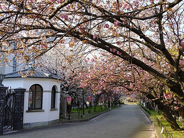 Japan cb a1.JPG Japan cb a1.JPG