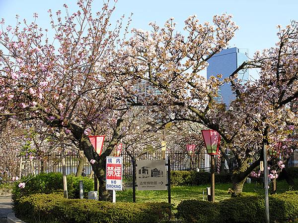 Japan cb a3.JPG Japan cb a3.JPG