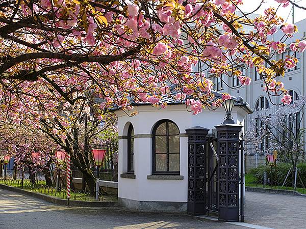 Japan cb a6.JPG Japan cb a6.JPG