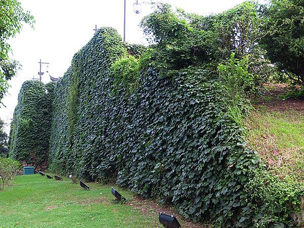 中國解封遊‧蘇州(六)‧桂花公園和金雞湖(Guihua Pa 中國解封遊‧蘇州(六)‧桂花公園和金雞湖(Guihua Pa