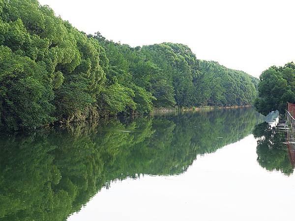 中國解封遊‧蘇州(六)‧桂花公園和金雞湖(Guihua Pa