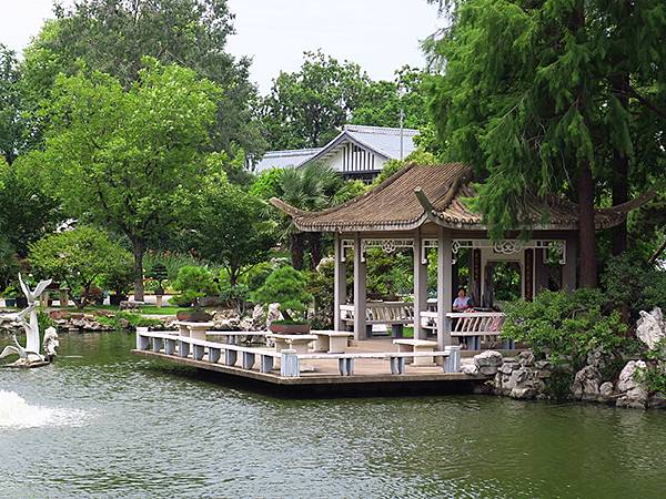 中國解封遊‧南京(二)‧玄武湖(上)‧賞荷(Xuanwu L