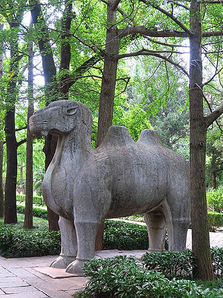 中國解封遊‧南京(四)‧明孝陵(Ming Xiaoling 