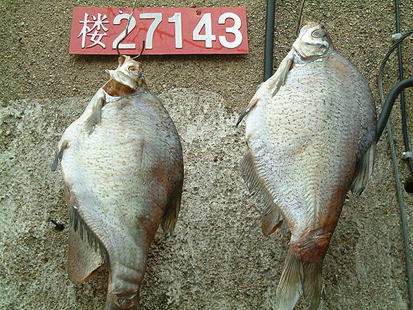 中國‧南京‧一些舊照(Nanjing Memory) 中國‧南京‧一些舊照(Nanjing Memory)